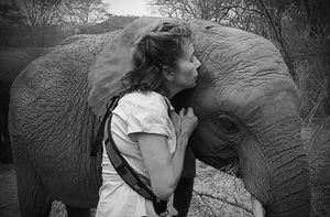 Elephants Matter: A 